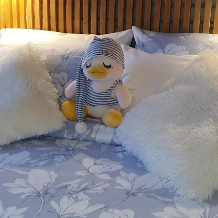 Eneida Kır Evi La Hidalga